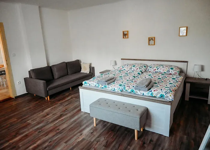 Vitovsky Statek شقة